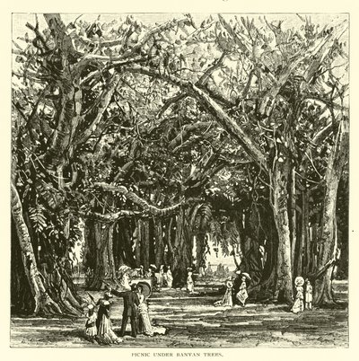 Banyan ağaçlarının altında piknik by American School
