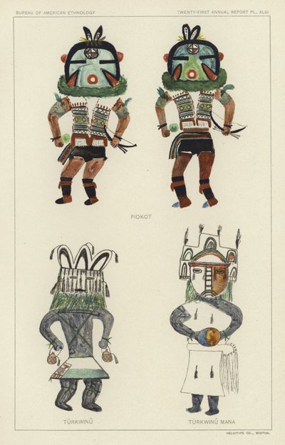  by American School