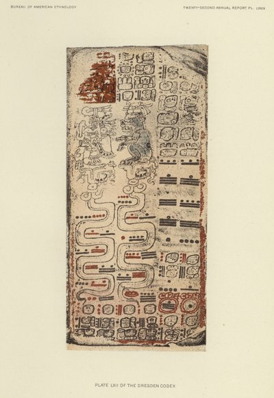  by American School