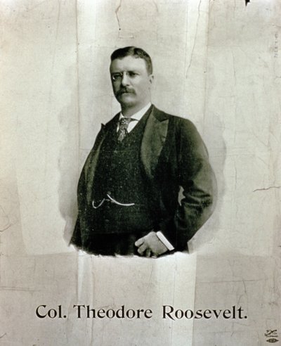 Albay Theodore Roosevelt