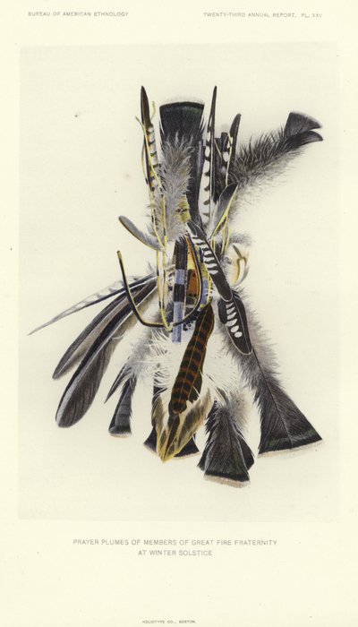  by American School