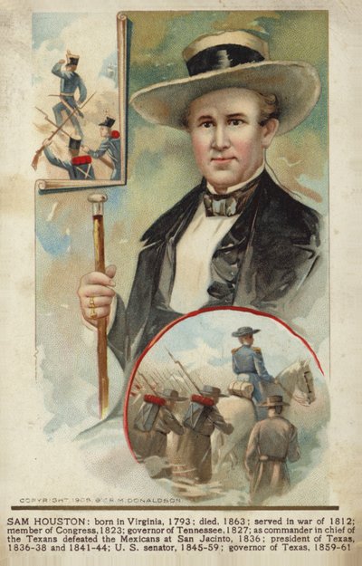 Sam Houston (renkli litografi) by American School