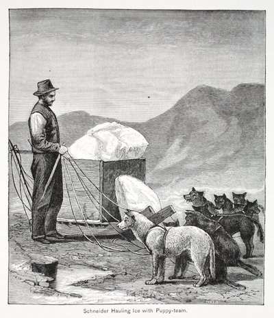 Schneider, Puppy ekibiyle buz taşıyor, pub. Londra 1886 by American School