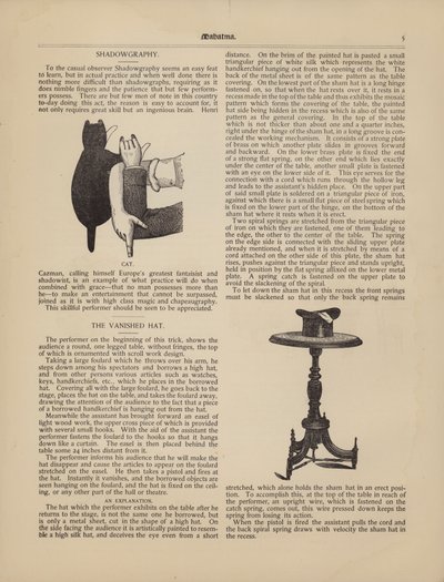 Shadowgraphy, Kedi, Kaybolan Şapka by American School