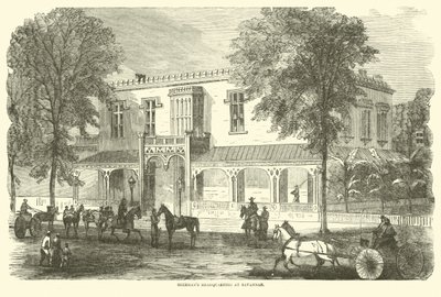 Savannah