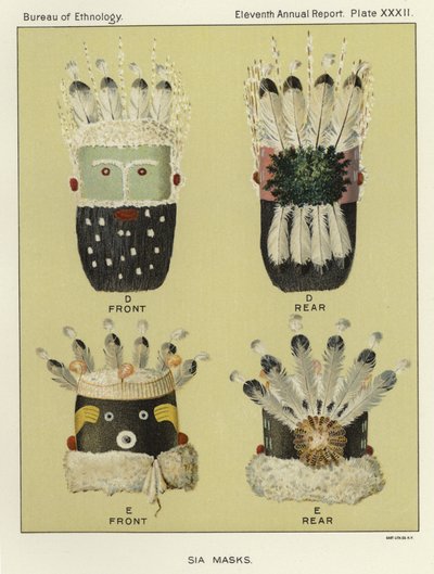 Sia maskeleri by American School
