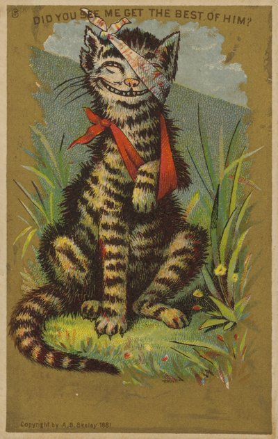 Yaralı Sırıtan Kedi by American School
