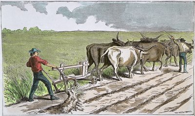Amerikan Batısının Sodbusters, 1880 dolayları (renkli gravür) by American School