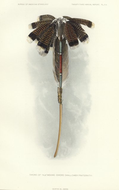  by American School
