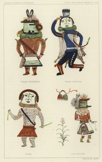  by American School