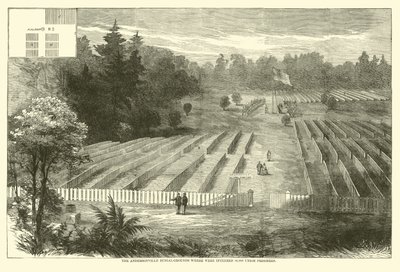 14.000 Birlik mahkumunun defnedildiği Andersonville mezarlığı, Mayıs 1865 by American School