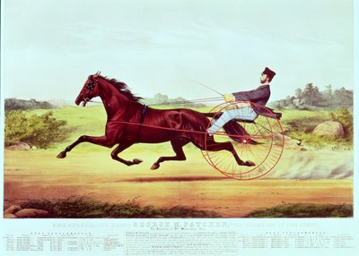 Ünlü At, George M. Patchen, Çim Şampiyonu, Nathaniel Currier (1813-88) ve James Merritt Ives (1824-95), 1860 by American School
