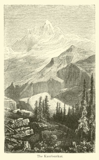 Kaurisankar by American School