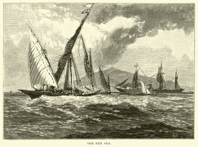 Kızıldeniz by American School