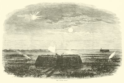 Bataklık Meleği, Ağustos 1863 by American School