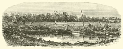Reynolds