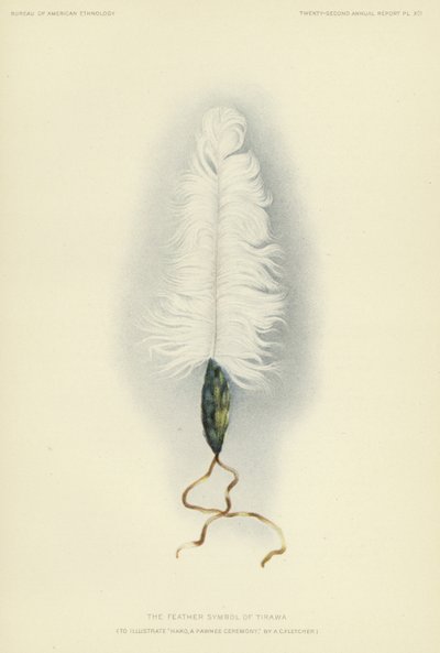  by American School