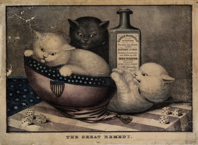 E.B. tarafından yayınlanan büyük çare. ve E.C. Kellogg, Hartford Ct. ve Phelps ve Watson, New York ve F.P. Whiting, New York, c. 1863 by American School