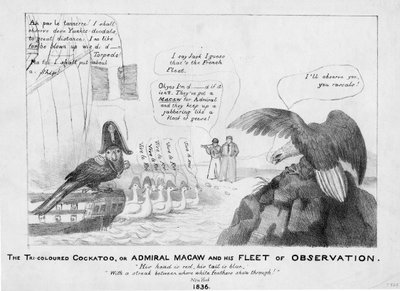 Üç renkli kakadu veya Amiral Amerika papağanı ve gözlem filosu, 1836 by American School