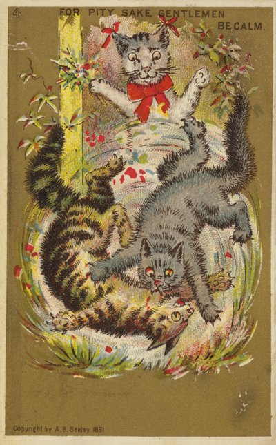 Üç Oyuncu Kedi by American School