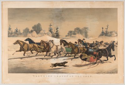 Karda Paça Çatlakları by American School