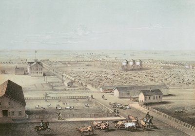 Birlik Depoları, Şikago by American School