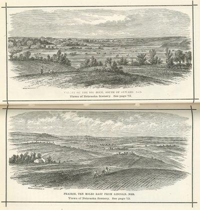 Nebraska Manzarası by American School
