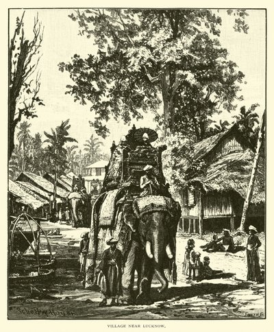 Lucknow yakınlarındaki köy by American School