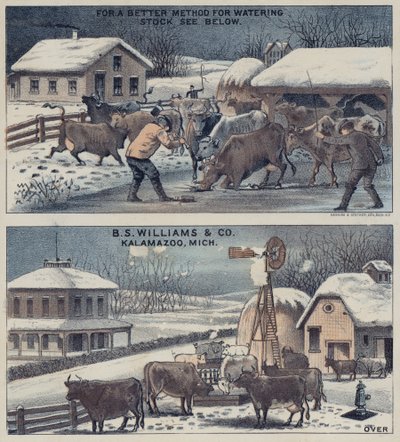 Sığır Sulama Sistemi by American School