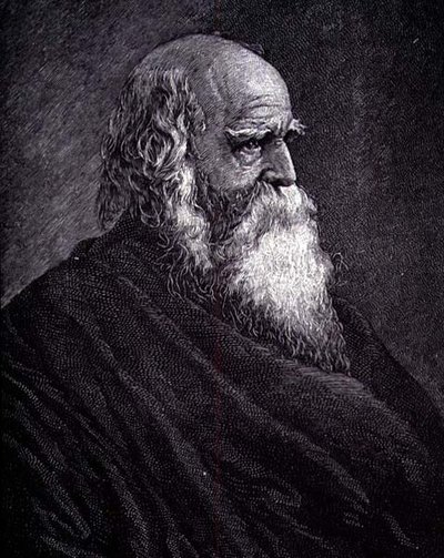 William Cullen Bryant (gravür) by American School