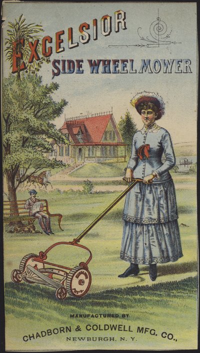  by American School