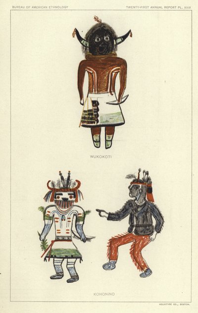 Wukokoti, Kohonino (renkli lito) by American School