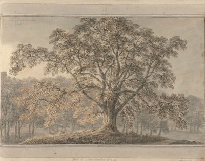 İngiltere, İskoçya ve Galler'deki Görüntüler: Londesbro Park'ta Kül, Mayıs 1800 by Amos Green