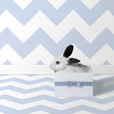 Tavşanlar 06, 2018 (fotoğraf) by Ana Carolina Tavares Mizrahi