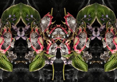 Eve_01, 2016 (Fotoğraf) by Ana Carolina Tavares Mizrahi