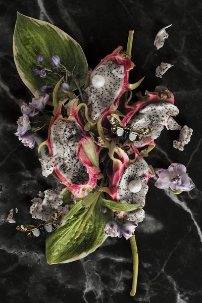 Eve_08, 2016 (Fotoğraf) by Ana Carolina Tavares Mizrahi