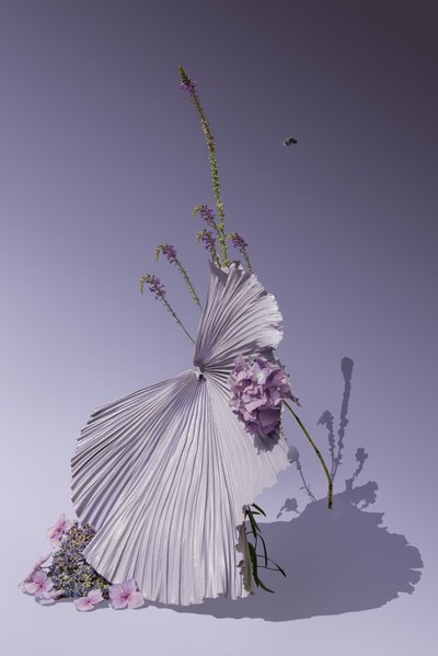 Ikebana 01, 2018 (fotoğraf) by Ana Carolina Tavares Mizrahi