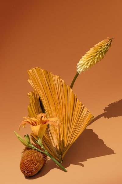 Ikebana 02, 2018 (fotoğraf) by Ana Carolina Tavares Mizrahi
