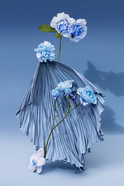 Ikebana 03, 2018 (fotoğraf) by Ana Carolina Tavares Mizrahi