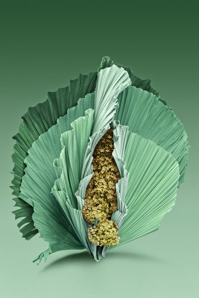 Ikebana 04, 2018 (fotoğraf) by Ana Carolina Tavares Mizrahi