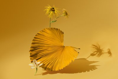 Ikebana 05, 2018 (fotoğraf) by Ana Carolina Tavares Mizrahi