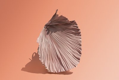 Ikebana 07, 2018 (fotoğraf) by Ana Carolina Tavares Mizrahi