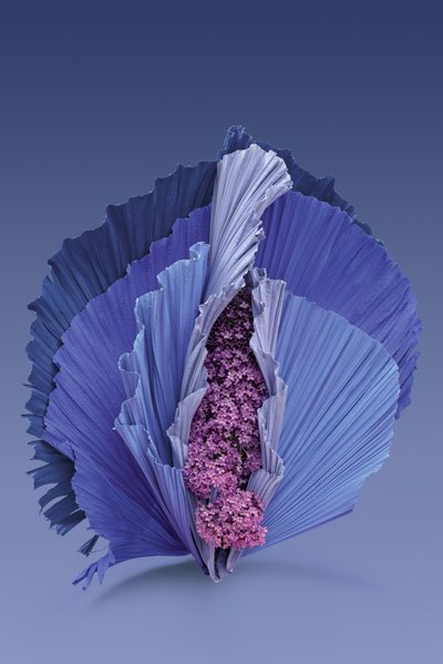 Ikebana 11, 2018 (fotoğraf) by Ana Carolina Tavares Mizrahi