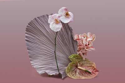 Ikebana 12, 2018 (fotoğraf) by Ana Carolina Tavares Mizrahi