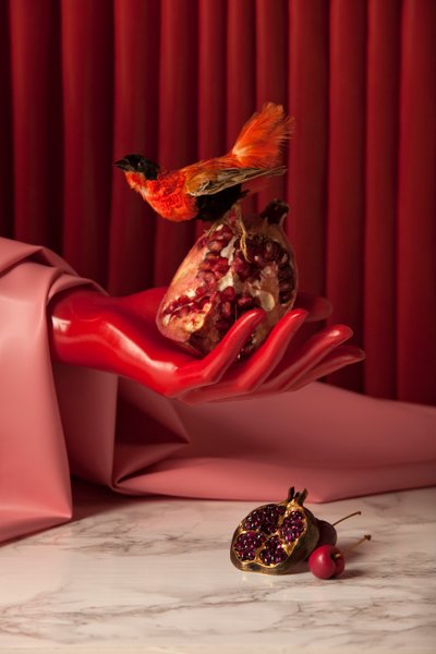 Rubi_07, 2015 (fotoğraf) by Ana Carolina Tavares Mizrahi