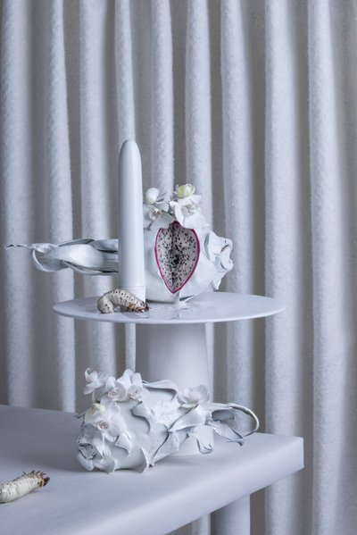 The _Farewell_Party_01, 2016 (fotoğraf) by Ana Carolina Tavares Mizrahi