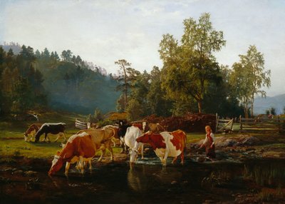 Nehir kenarındaki inekler by Anders Askevold