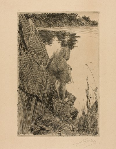 yüzücü by Anders Leonard Zorn