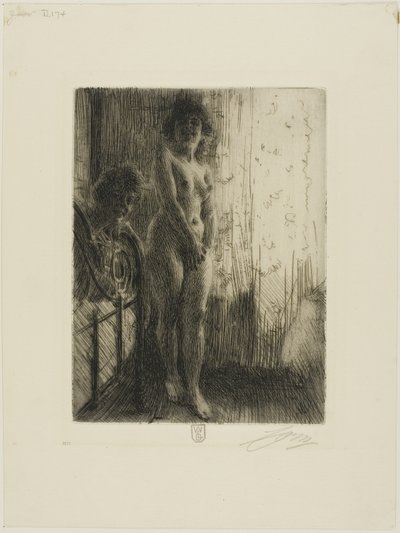 Karanlık Bir Köşe by Anders Leonard Zorn