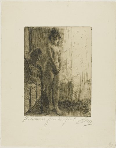 Karanlık Bir Köşe by Anders Leonard Zorn